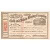 Image 1 : The People's Gold & Silver Mining Company, Monitor District, Amador County   (108000)