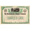 Image 1 : Bushwhacker Mining Company Stock Certificate   (107173)