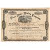 Image 1 : Silver Plume Mining Company Stock Certificate   (104316)