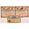 Image 1 : Gold Dirt Mining Company Stock Certificates   (104268)