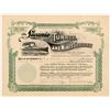 Image 1 : Lucania Tunnel & Mines Company Stock Certificate   (104219)