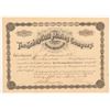 Image 1 : Schuylkill Mining Company Stock Certificate   (104340)