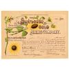 Image 1 : Sunflower Gold Mining Company Stock Certificate   (104338)