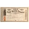 Image 1 : Nye Gold Mining Company Stock   (79743)