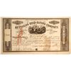 Image 1 : Reynolds Gold Mining Company of the city of New York Stock   (79746)