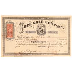 Hope Gold Company   (104723)