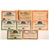 Image 1 : National Tunnel & Mines Co. Stock Collection   (104252)