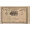 Image 1 : Silver Girl Mining Company Stock Certificate   (104319)