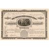 Image 1 : Silvercord Combination Mining Stock   (105612)