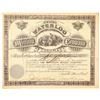 Image 1 : Waterloo Mining Co. of Colorado Stock Certificate   (104306)