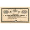 Image 1 : Ophir Needles Mining Company Stock Certificate   (104452)