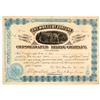 Image 1 : Wheel of Fortune Cons. Mining Company Stock Certificate   (104308)