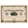 Image 1 : Game Ridge Consolidated Mining Company Stock Certificate   (104270)