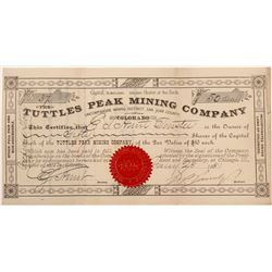 Tuttles Peak Mining Co   (106207)