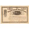 Image 1 : Vermont & Colorado Mining Co. Stock Certificate   (104326)