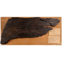 Comstock Lode Compressed Mine Timber   (106495)