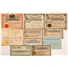 Image 1 : Ten Different Goldfield Mining Stock Certificates   (107092)