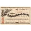 Image 1 : Tallulah Mining Company Stock Certificate   (107067)