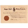 Image 1 : Copper Chief MC Stock   (106618)
