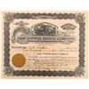Image 1 : Erie Copper Mining Co    (106206)