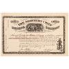 Image 1 : Northern Chief Mining Company Stock Certificate   (107201)