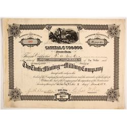 Tintic Mining and Milling Company   (88049)