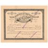 Image 1 : Pacific Investment Company Stock Certificate (Coal Mining)   (107203)
