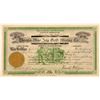 Image 1 : Chespa-Blue Jay Gold Mining Co. Stock Certificate   (107099)