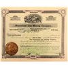 Image 1 : Homestead Iron Mining Stock   (106342)