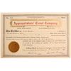 Image 1 : Appropriator's Canal Co. Stock   (83425)
