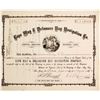 Image 1 : Cape May & Delaware Bay Navigation Co Stock   (83404)