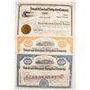 Image 1 : Detroit and Cleveland Navigation Co. Stocks (3)   (83450)