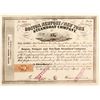 Image 1 : Boston, Newport and New York Steamboat Co   (87200)