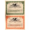 Image 1 : Panama Mail Steamship Stocks (2)   (105622)