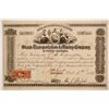 Image 1 : Steam Transportation & Mining Co of NC   (86574)