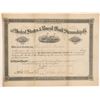 Image 1 : US and Brazil Mail Steamship Stock   (105635)