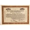 Image 1 : Steam Vehicle Corp of America   (89715)