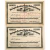 Image 1 : Los Angeles, Pasadena and Glendale Railway Co. stock   (102458)