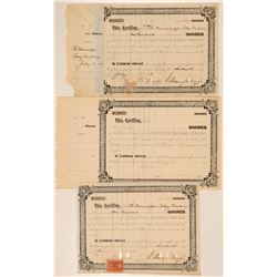 Stacyville Railroad Co   (105557)