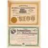 Image 1 : Montana ephemera   (104631)