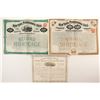 Image 1 : New York, Pennsylvania and Ohio Railroad Co   (88913)