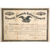 Image 1 : Neversink Mountain Railroad Co   (87005)