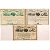 Image 1 : St. Paul & Duluth Railroad Co. stock   (106303)