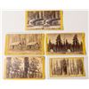 Image 1 : Five Big Trees Stereoviews, E. & H.T. Anthony & Co.   (54752)