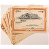 Image 1 : Van Mining Company Stock Certificates (31 count)   (52553)