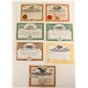 Image 1 : Cripple Creek Mining Stocks (7)   (79356)