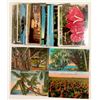 Image 1 : Hawaii Flower Postcards   (103260)