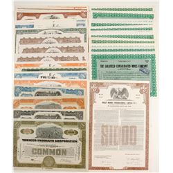 Goldfield, NV and Other Modern Stocks Collection   (89801)