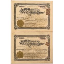 Sunbeam Consolidated Mining Company   (53723)