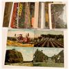 Image 1 : Farming Postcards   (105356)